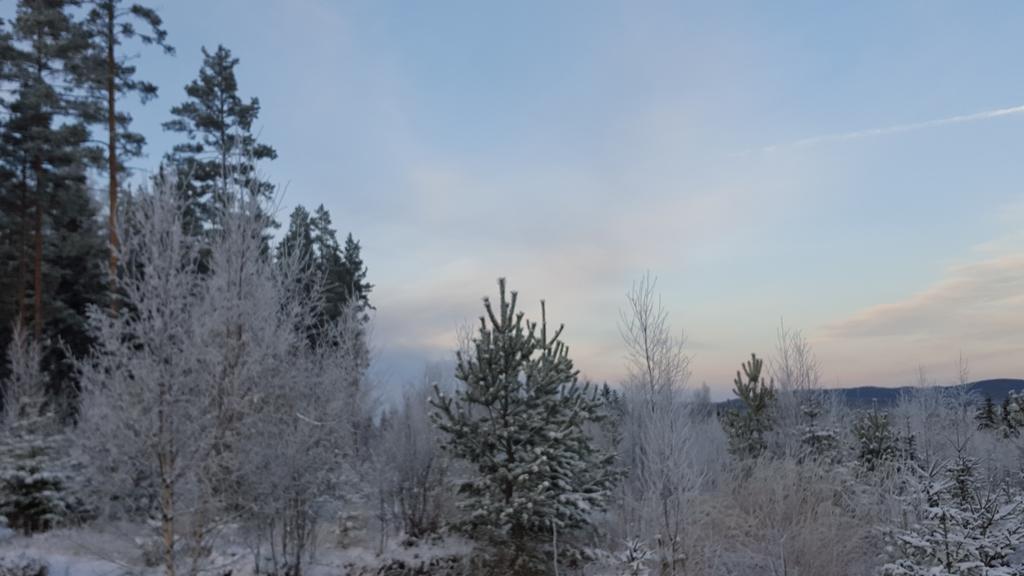 Romme Rum Borlänge Eksteriør billede